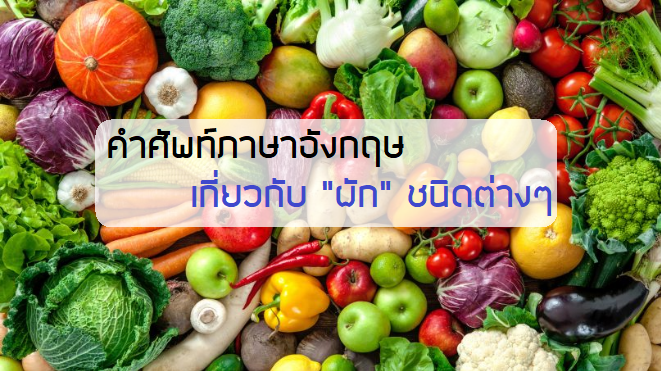 คำศัพท์ ภาษาอังกฤษ เกี่ยวกับ "ผัก" ที่น่าสนใจ - Chula ...